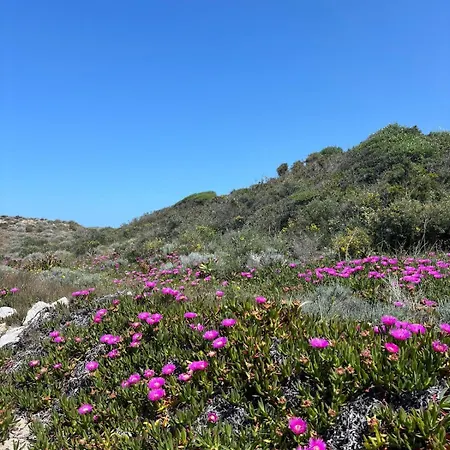 La Pavoncella Διαμέρισμα